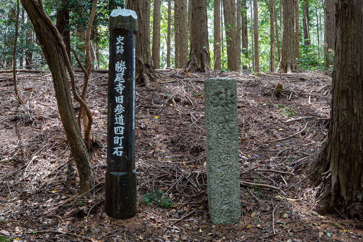 説明3