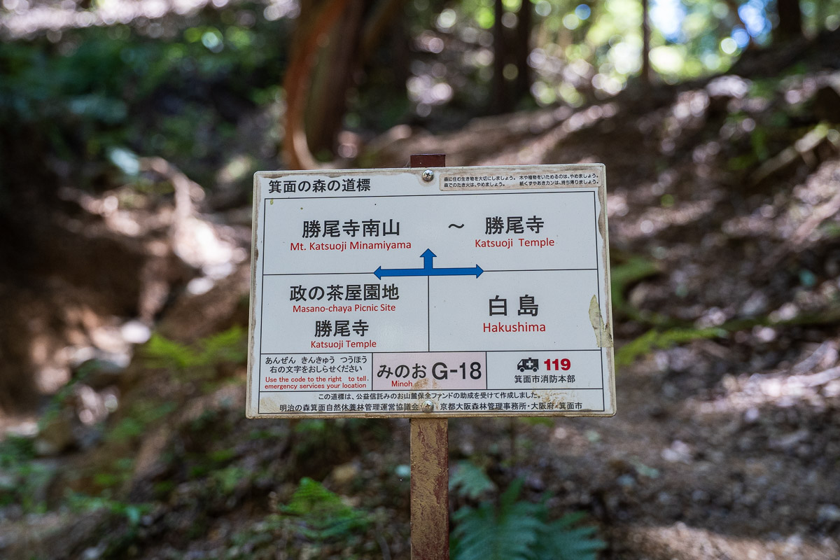 分岐点となるG-18地点の案内標識
