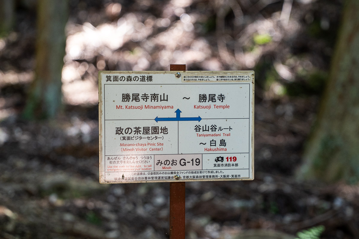次の分岐となるG-19地点の案内標識