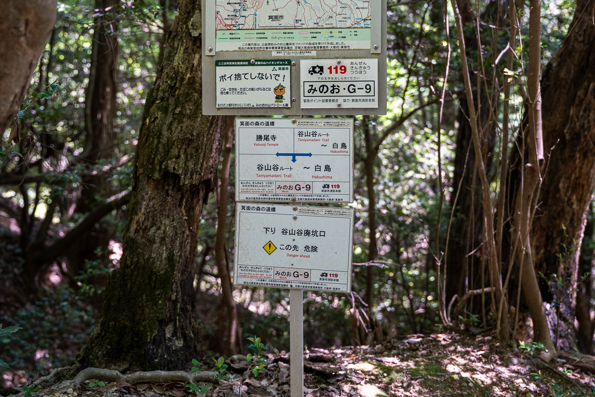 登り切った先に現れるG-9地点の案内標識