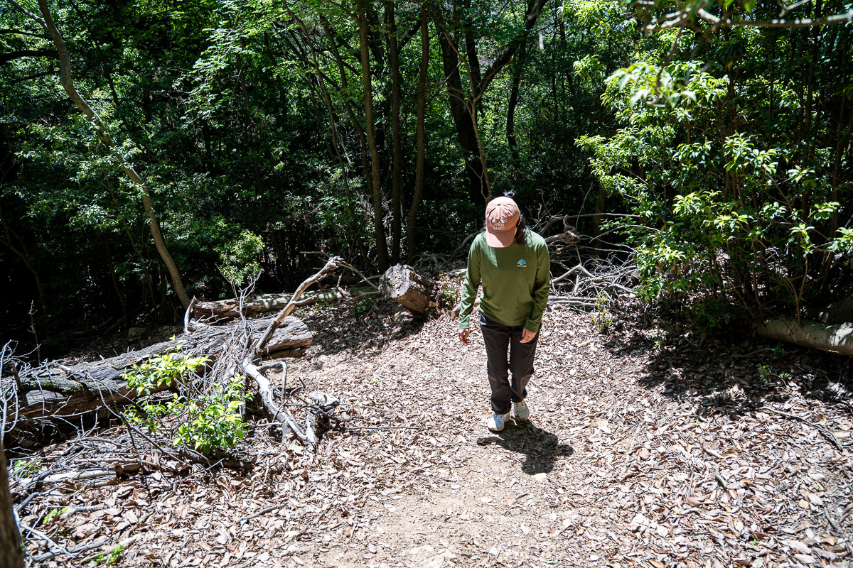 南山山頂へと続く勾配のきつい登り坂