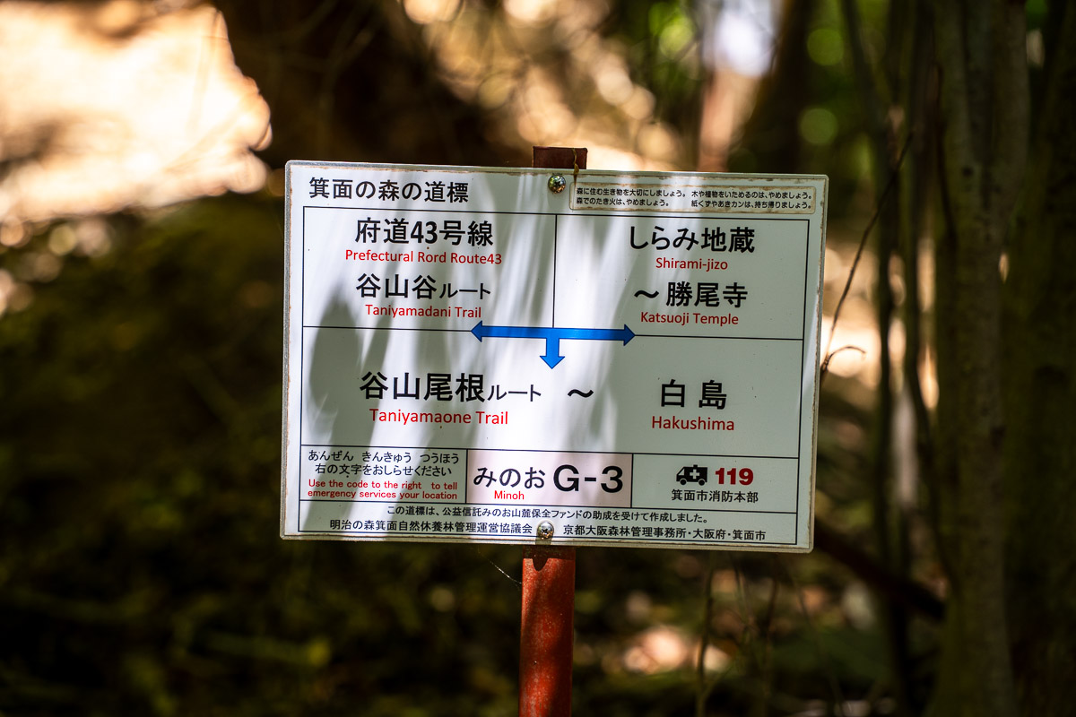 下山途中に現れるG-3地点の案内標識
